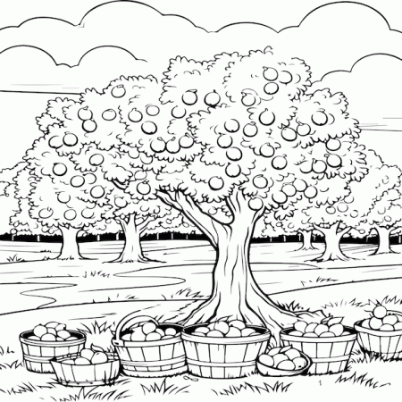 apple picking coloring pages