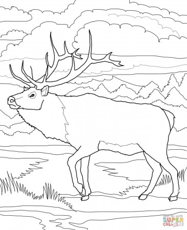 Woodland Caribou coloring page | Free Printable Coloring Pages