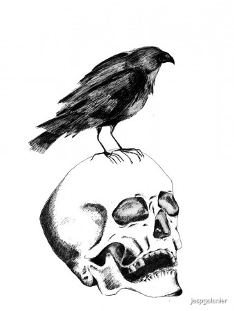 Crowneum - Crow Series