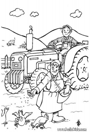 Farm S - Coloring Pages for Kids and for Adults