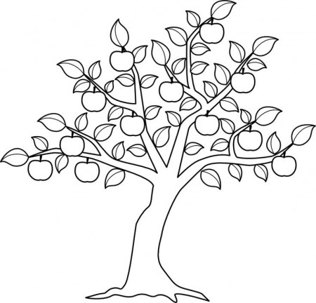 See Apple Tree Coloring Sheet Photoage - Artscolors