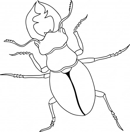 Coloring Beetle Images | Free Vectors, Stock Photos & PSD | Page 2