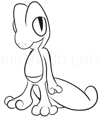 How to Draw Treecko, Coloring Page, Trace Drawing