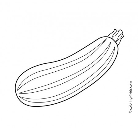 Zucchini vegetables coloring pages for kids, printable free | Vegetable coloring  pages, Coloring pages, Fruit coloring pages