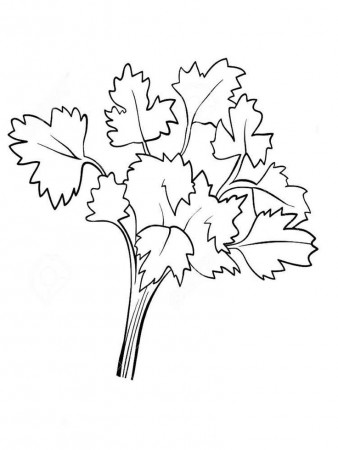 Pin on Jardin