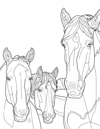 Cute Horse Coloring Pages for Kids & Adults. 4 Hand-drawn - Etsy