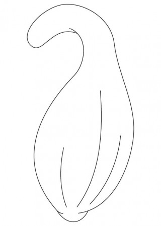 Squash coloring sheet | Download Free Squash coloring sheet for ...