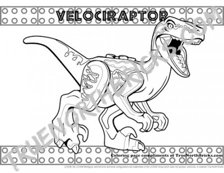 Velociraptor Coloring Page - Free for a Limited Time - True North Bricks | Coloring  pages, Dinosaur coloring pages, Lego coloring pages
