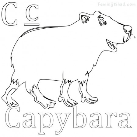 Easy Capybara Coloring Pages PDF - Coloringfolder.com | Animal coloring  pages, Coloring pages, Capybara