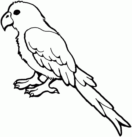 Free Parrot and Macaw Coloring Pages