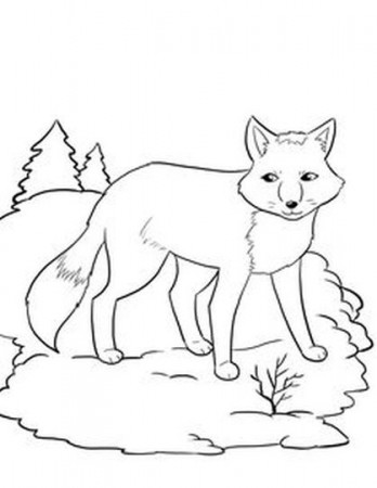 Fox Coloring Pages for Preschoolers - Part 3