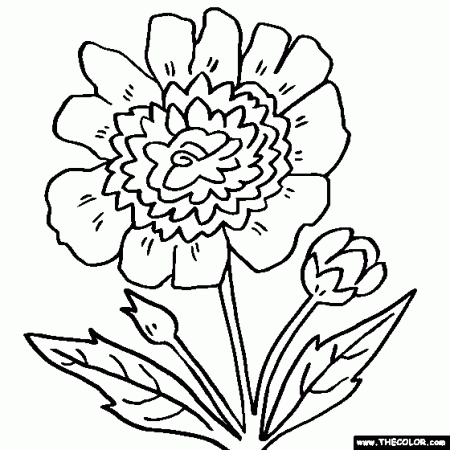 Flower Online Coloring Pages | TheColor.com