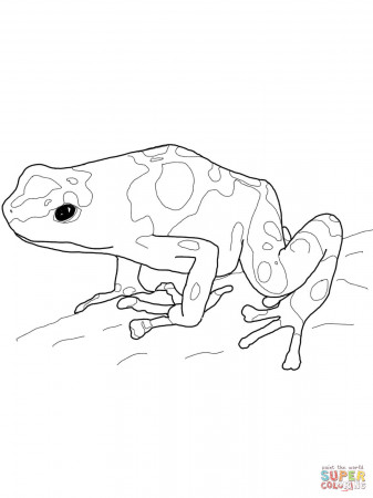 Yellow Banded Poison Dart Frog coloring page | Free Printable ...