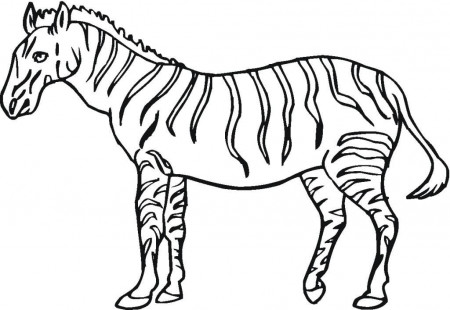 Zebra Coloring Pages For Kids Printable - Printable Zebra Coloring 