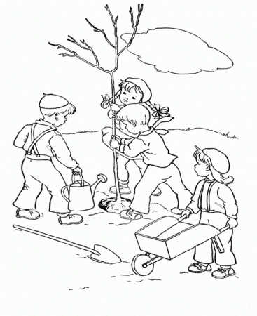 Coloring Page Of A Bare Tree With No Leaves