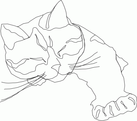 Splat The Cat Coloring Pages 269 | Free Printable Coloring Pages