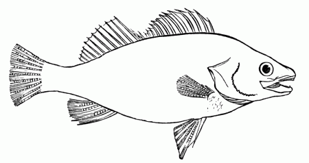 clip art fish | Maria Lombardic