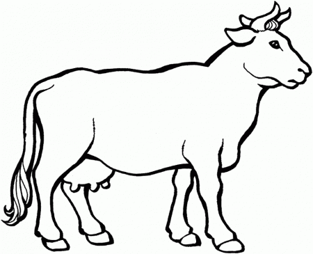Download Cow Coloring Pages Or Print Cow Coloring Pages From 