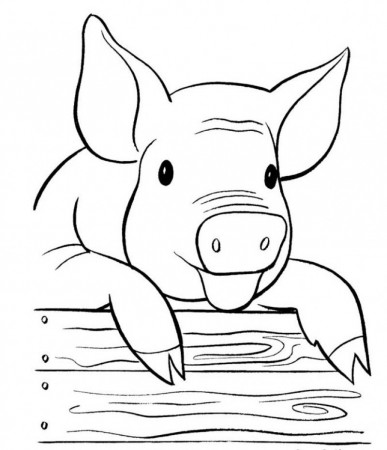 Pigs Lay Coloring For Kids - Kids Colouring Pages