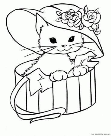 Related Pictures Cute Cats Coloring Pages Kitten Car Pictures