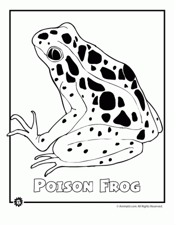 endangered rainforest animals coloring pages