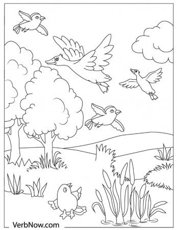 Free BIRD Coloring Pages for Download (Printable PDF) - VerbNow
