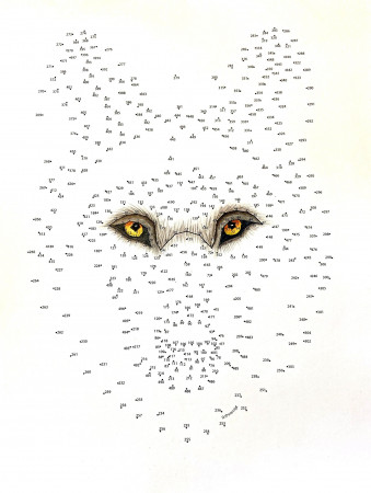 Wolf Extreme Dot to Dot PDF Activity and Coloring Page - Etsy