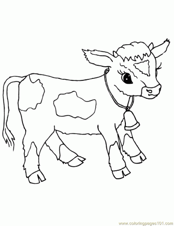 Baby cow | Hayvan boyama sayfaları, Hayvan çizimi, Hayvan bebekler