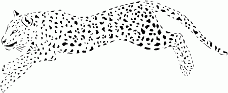 Cheetah Coloring Pages - Colorine.net | #9812