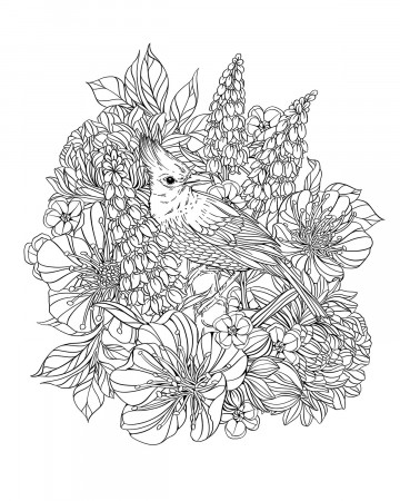 About the Coloring Book — Flowerscape