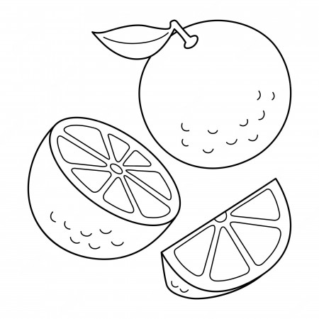 Premium Vector | Orange fruit isolated coloring page for kids