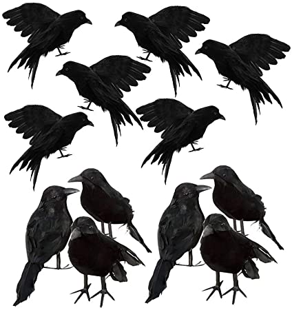 Amazon.com: B Blesiya 12pcs/Set Artificial Ravens Realistic Birds ...