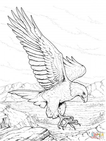 North American Bald Eagle coloring page | Free Printable Coloring Pages