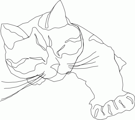 Cat Coloring