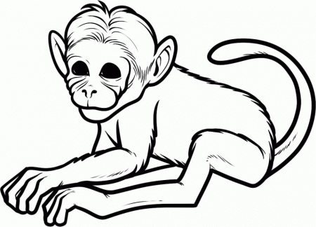Cartoon Monkey Coloring Pages Animal Coloring Pages Printable 