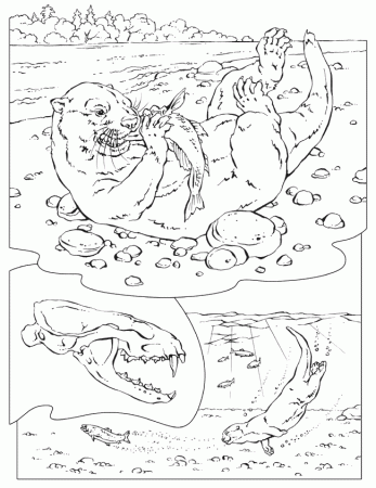 otter coloring pages 2014