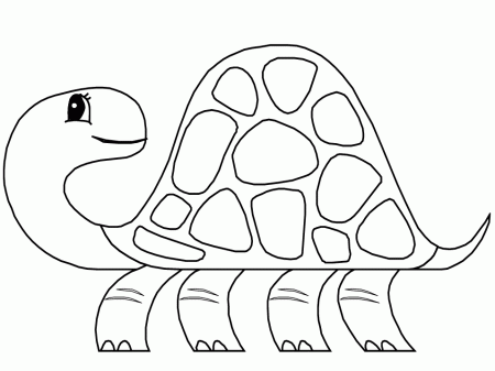 Turtle 6 Animals Coloring Pages & Coloring Book