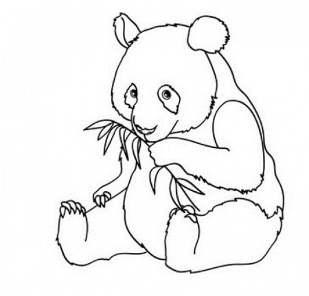 Free Panda Bear Coloring Pages To Print - Kids Colouring Pages