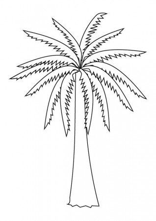 Free Coloring Pages Palm Trees