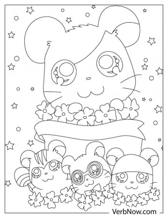Free HAMSTER Coloring Pages & Book for Download (Printable PDF) - VerbNow