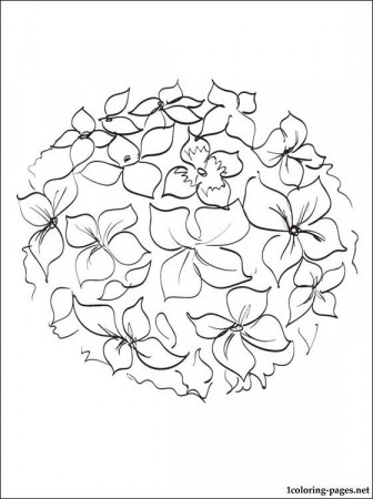 Hydrangea coloring and printable page | Hydrangea colors, Flower line  drawings, Hydrangeas art