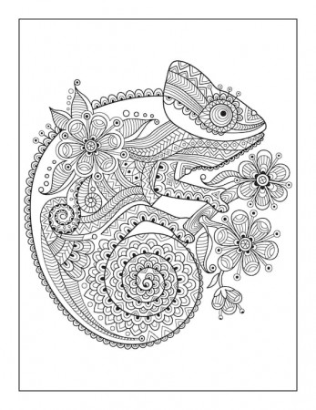 Fun Artsy Animal Mandala Coloring Pages - Etsy