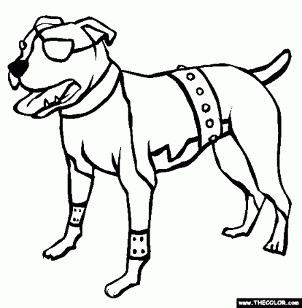 American Pit Bull Terrier Coloring Page | Free American Pit Bull Terrier  Online Coloring