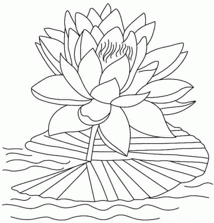 9 Pics of Lotus Flower Coloring Pages Printable - Lotus Flower ...