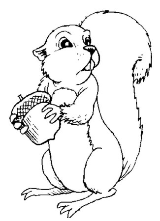 oravamatikka | Squirrel, Page Borders and Math