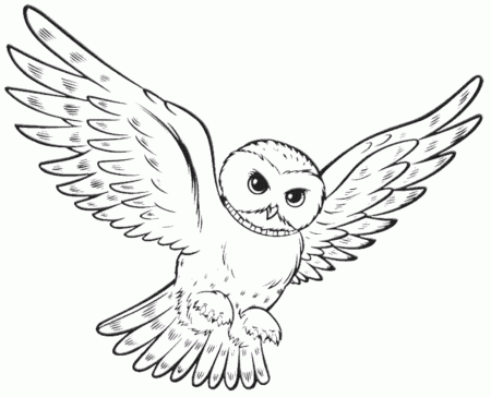 Christmas Owl Coloring Pages Adult - Coloring Pages For All Ages