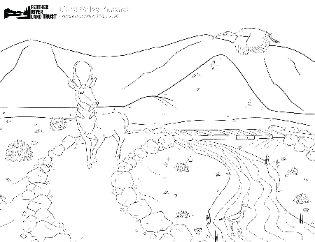 FRLT Preserve Coloring Pages - Feather River Land Trust