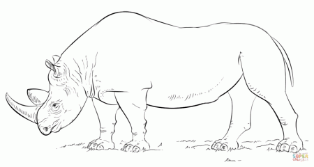 African rhino coloring page | Free Printable Coloring Pages
