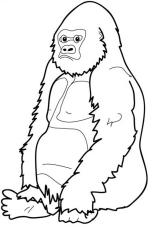 Gorilla Coloring Page | Cool coloring pages, Monkey coloring pages ...