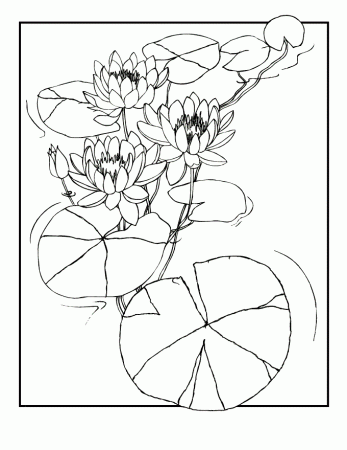 Lilies Coloring Pages Flowers Nature Water Lilies Printable 2021 238  Coloring4free - Coloring4Free.com